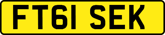 FT61SEK