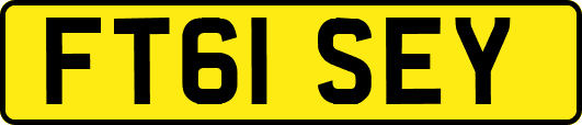 FT61SEY