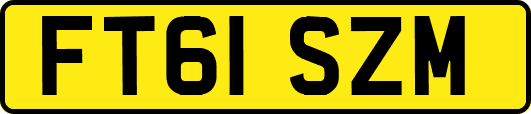 FT61SZM