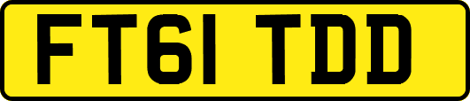 FT61TDD