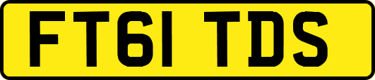FT61TDS