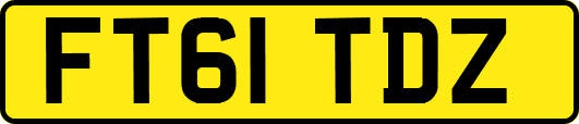FT61TDZ