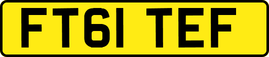 FT61TEF