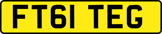 FT61TEG