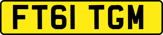 FT61TGM