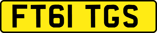 FT61TGS