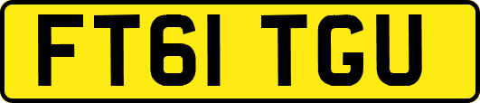 FT61TGU