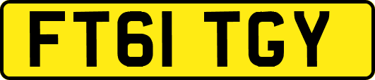 FT61TGY