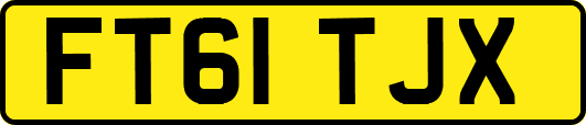 FT61TJX