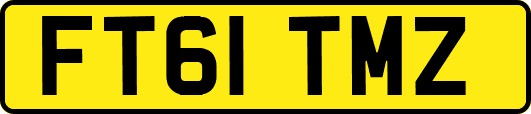 FT61TMZ