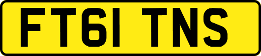 FT61TNS