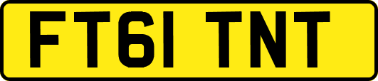 FT61TNT