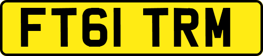 FT61TRM