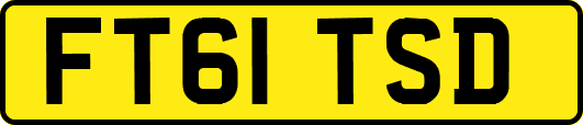 FT61TSD