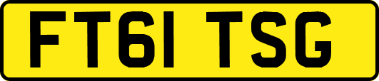 FT61TSG