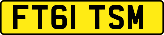 FT61TSM