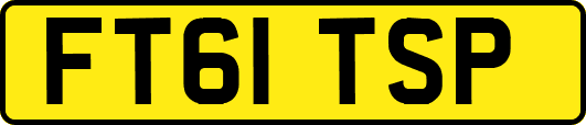 FT61TSP
