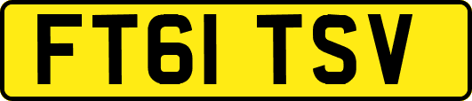 FT61TSV