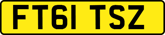 FT61TSZ