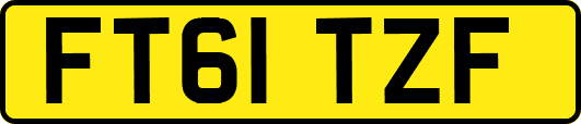 FT61TZF