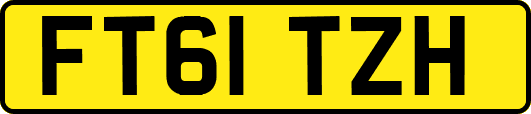FT61TZH