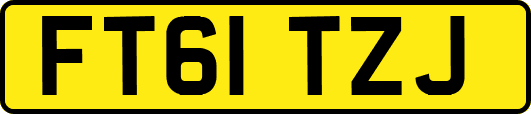 FT61TZJ