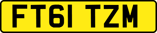FT61TZM