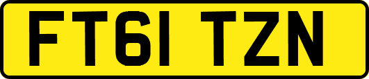 FT61TZN