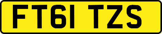 FT61TZS