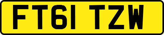 FT61TZW