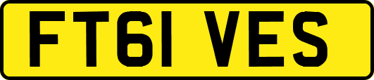 FT61VES