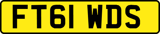 FT61WDS