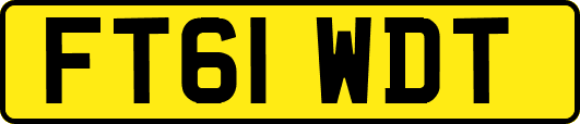 FT61WDT