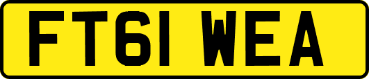 FT61WEA