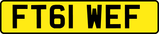 FT61WEF