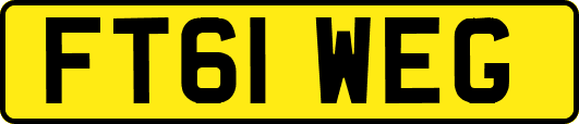 FT61WEG