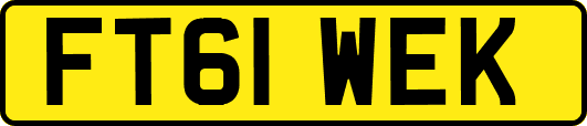 FT61WEK