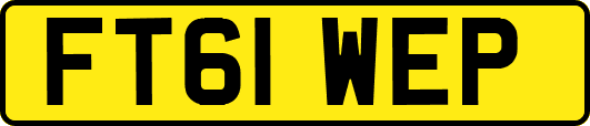 FT61WEP