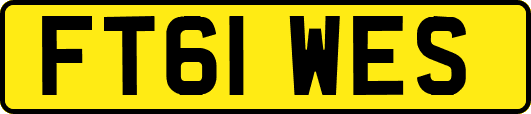 FT61WES