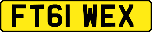 FT61WEX