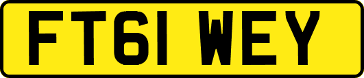 FT61WEY