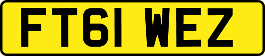 FT61WEZ