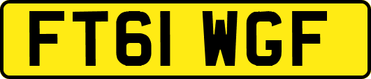 FT61WGF