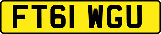 FT61WGU