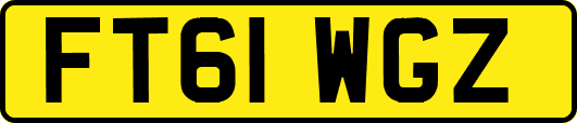 FT61WGZ
