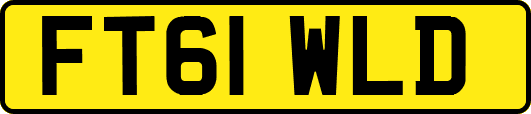 FT61WLD