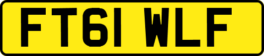 FT61WLF