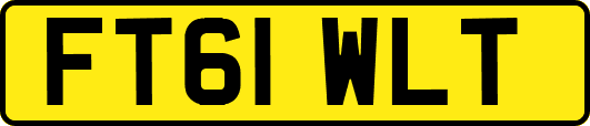 FT61WLT