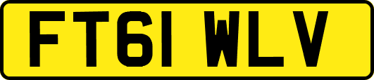 FT61WLV