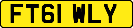 FT61WLY